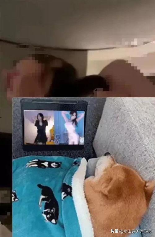 唐山爆料小伙视频播放下载,小伙视频播放下载引发热议，网友热议不断  第1张