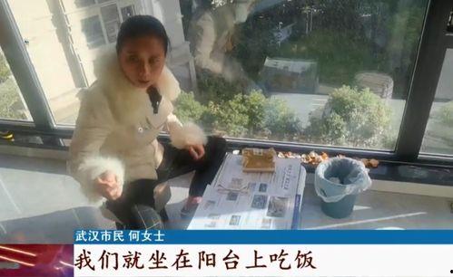 全家带凳子吃瓜免费观看,共享夏日清凉时光 第1张 全家带凳子吃瓜免费观看,共享夏日清凉时光 第1张