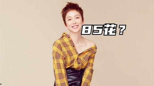 刘大锤最新爆料85花,85花明星幕后惊人真相 第1张 刘大锤最新爆料85花,85花明星幕后惊人真相 第1张