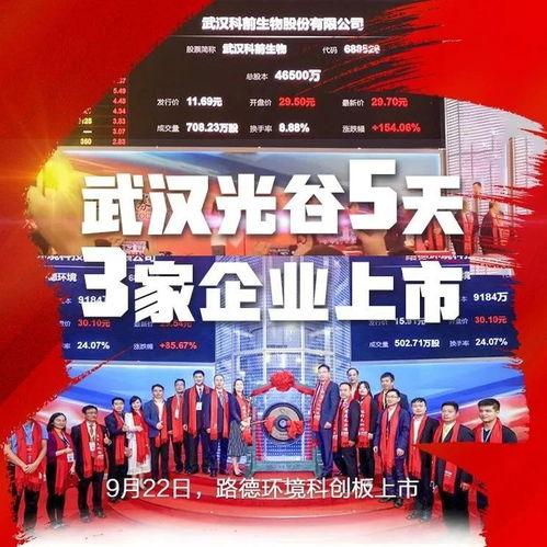 武汉爆料最新新闻报道,聚焦城市动态与民生焦点